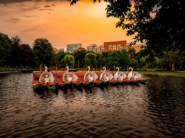 Swan boats at Boston Common Park